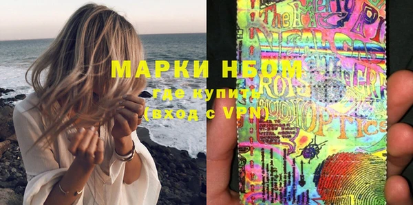 индика Снежинск