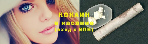 шишки Медногорск