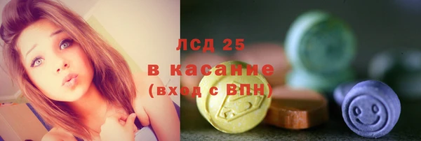 шишки Медногорск
