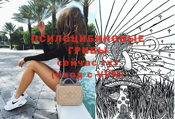 дмт Медвежьегорск