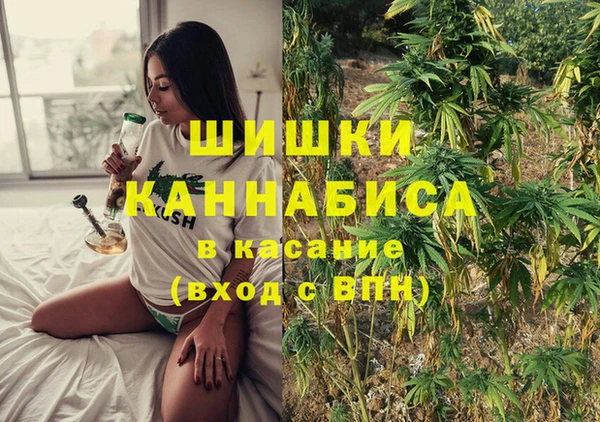 шишки Медногорск