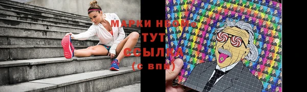 шишки Медногорск