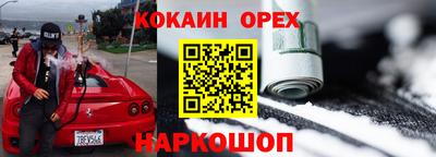 стафф Кингисепп