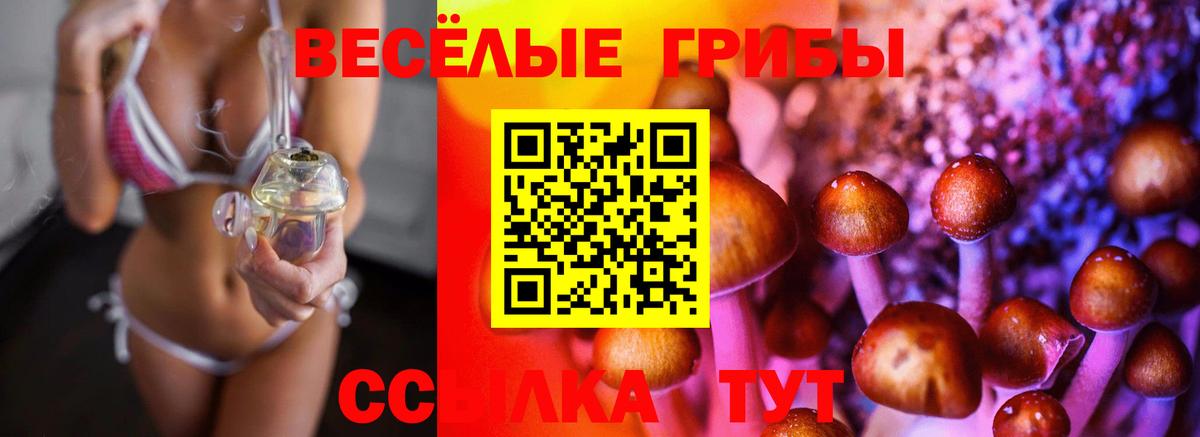 где можно купить наркотик  Нижний Новгород  Галлюциногенные грибы мухоморы 